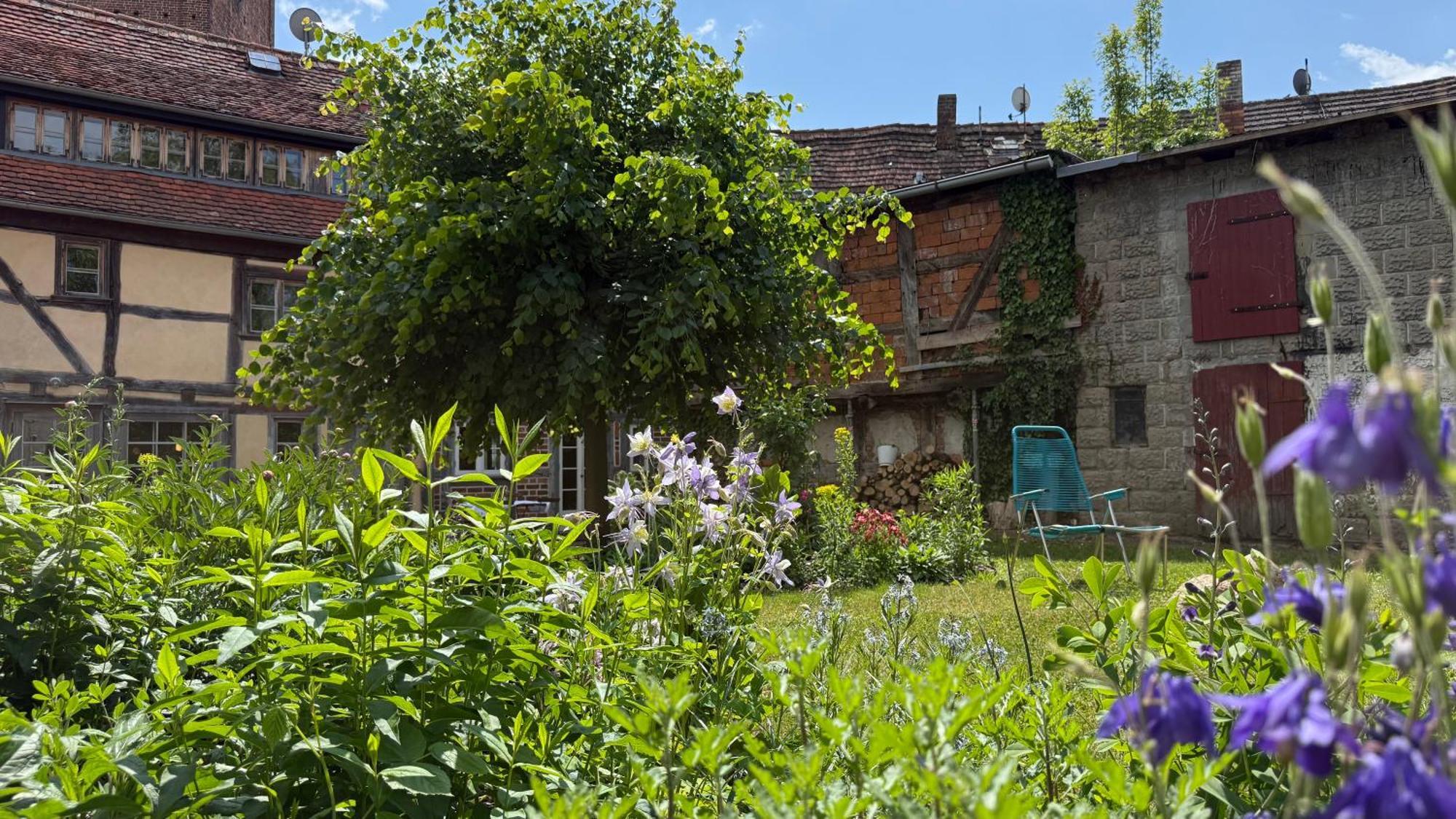 Ferienhaus St. Johannis Werben  Luaran gambar