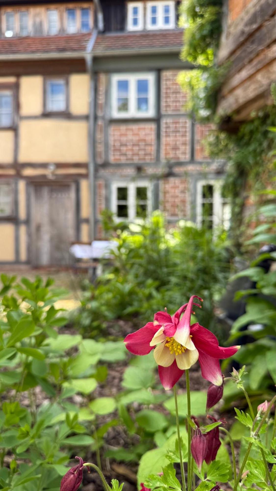 Ferienhaus St. Johannis Werben  Luaran gambar